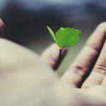 Thinking Differently: The Leadership Trait that Sets the Best Apart 
