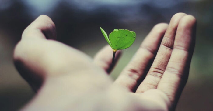 Thinking Differently: The Leadership Trait that Sets the Best Apart 